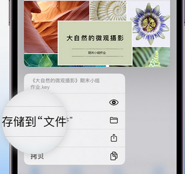 石狮apple维修中心分享iPhone文件应用中存储和找到下载文件