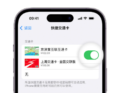 石狮apple维修点分享iPhone上更换Apple Pay快捷交通卡手绘卡面 