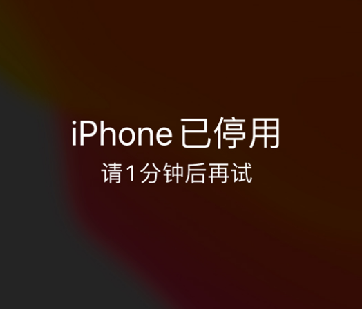 石狮苹果手机维修分享:iPhone 显示“不可用”或“已停用”怎么办？还能保留数据吗？ 