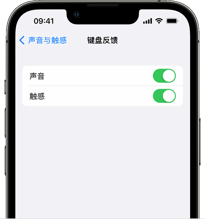 石狮苹果14维修店分享如何在 iPhone 14 机型中使用触感键盘 