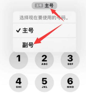 石狮苹果14维修店分享iPhone 14 Pro Max使用副卡打电话的方法 