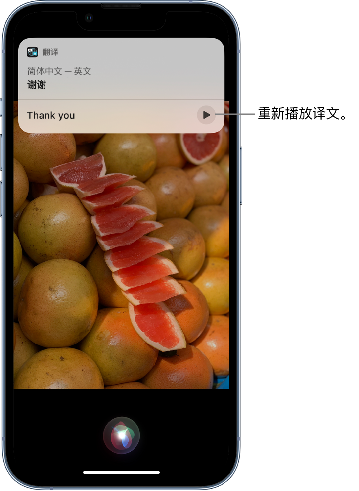 石狮苹果14维修分享 iPhone 14 机型中使用 Siri：了解 Siri 能帮你做什么 