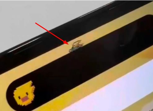 石狮苹果14维修分享iPhone 14 Pro Max灵动岛怎么养宠物 