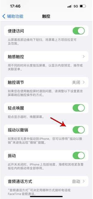 石狮苹果手机维修分享iPhone手机如何设置摇一摇删除文字 