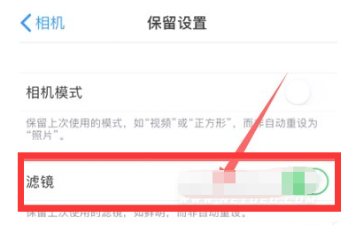 石狮苹果13维修分享iPhone13拍照有绿点是怎么回事 