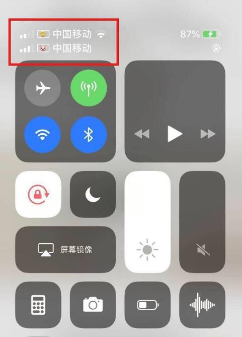 石狮苹果手机维修分享为 iPhone 12 双卡设置标签 