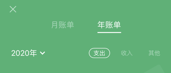 石狮苹果手机维修分享如何在 iPhone 上查看支付宝和微信年支出账单 